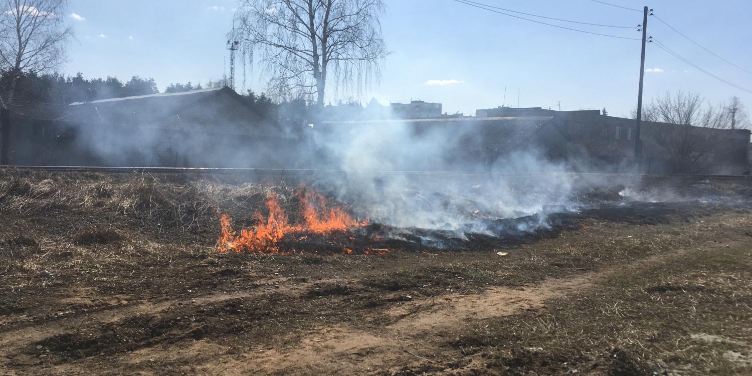 Крымчанам рассказали о причинах пожара в районе Оленевки