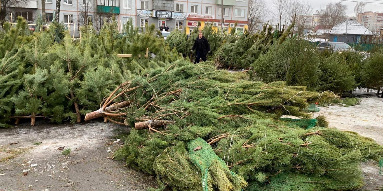 В Симферополе приступили к установке новогодник елок