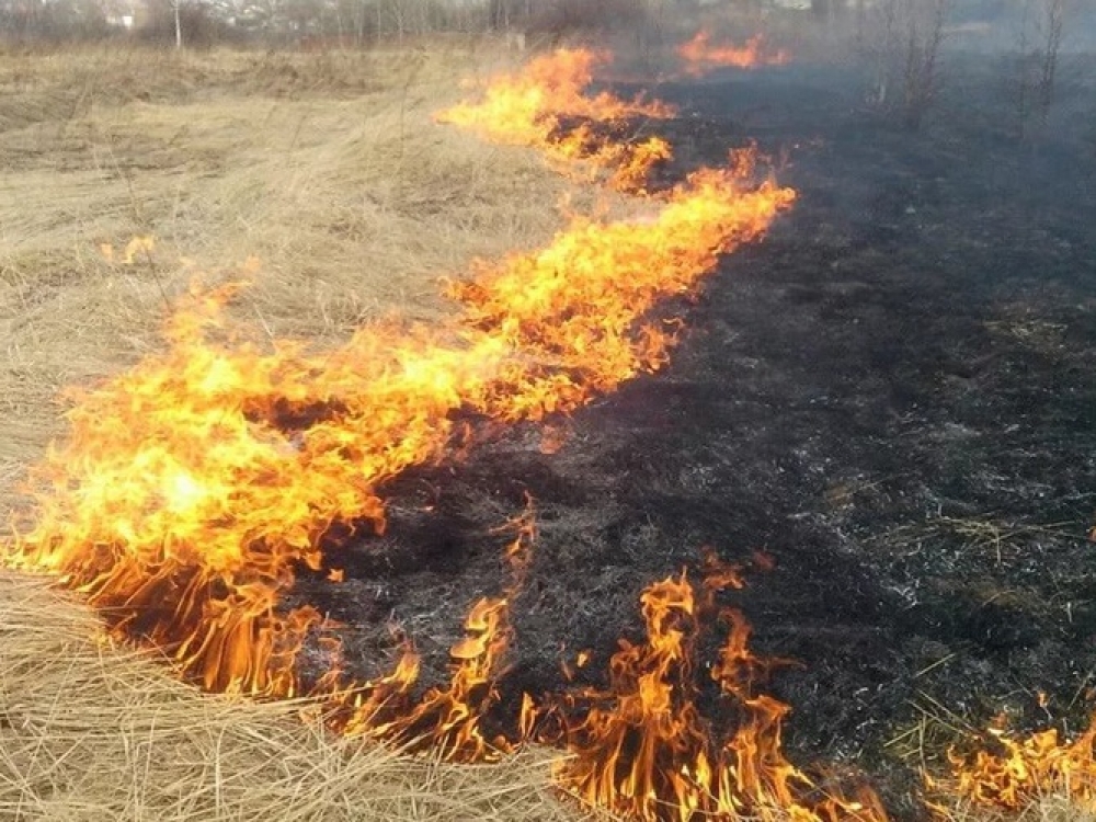 В Крыму в поселке Красногвардейское случилось крупное возгорание